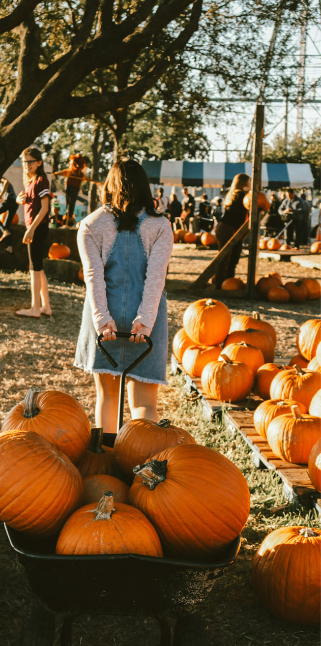 visitor attraction online booking solution